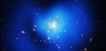 Phoenix Cluster